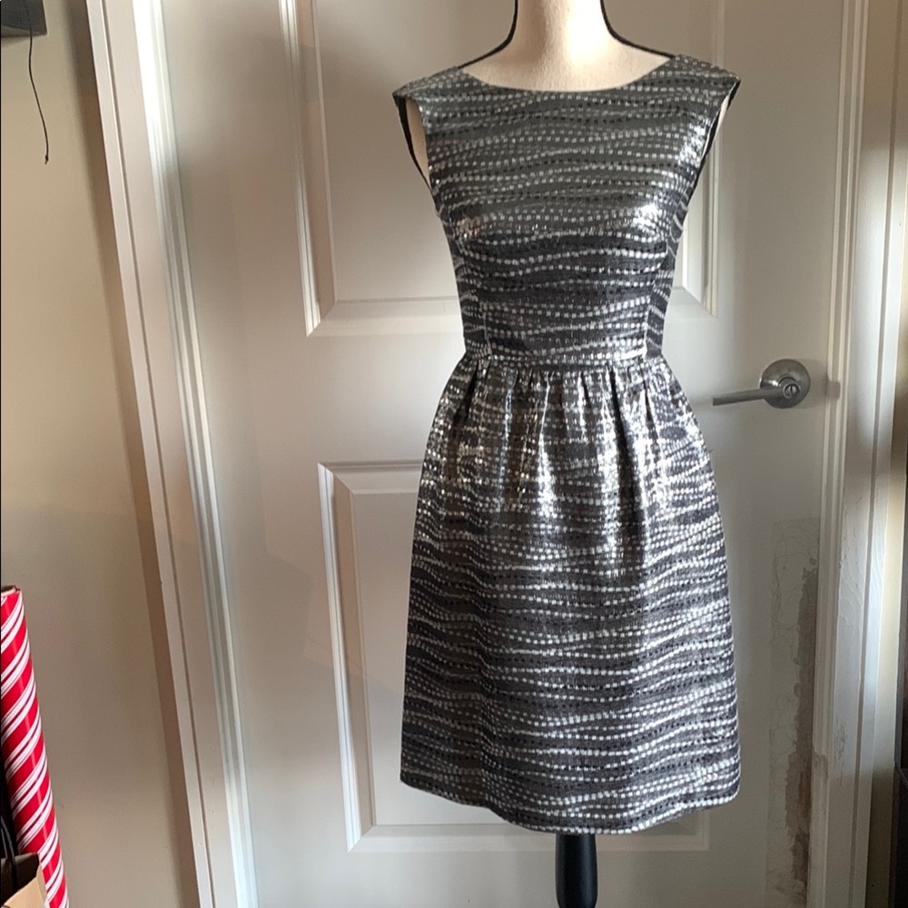 Elegant Silver and Gray Dress